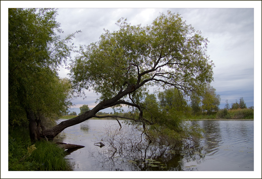 фото "над водой" метки: пейзаж, весна, вода