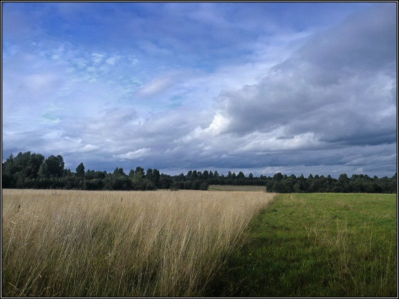 photo "Half life" tags: landscape, autumn