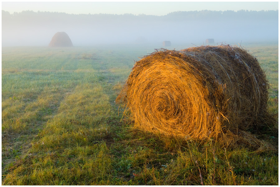 фото "Забытый" метки: пейзаж, лето