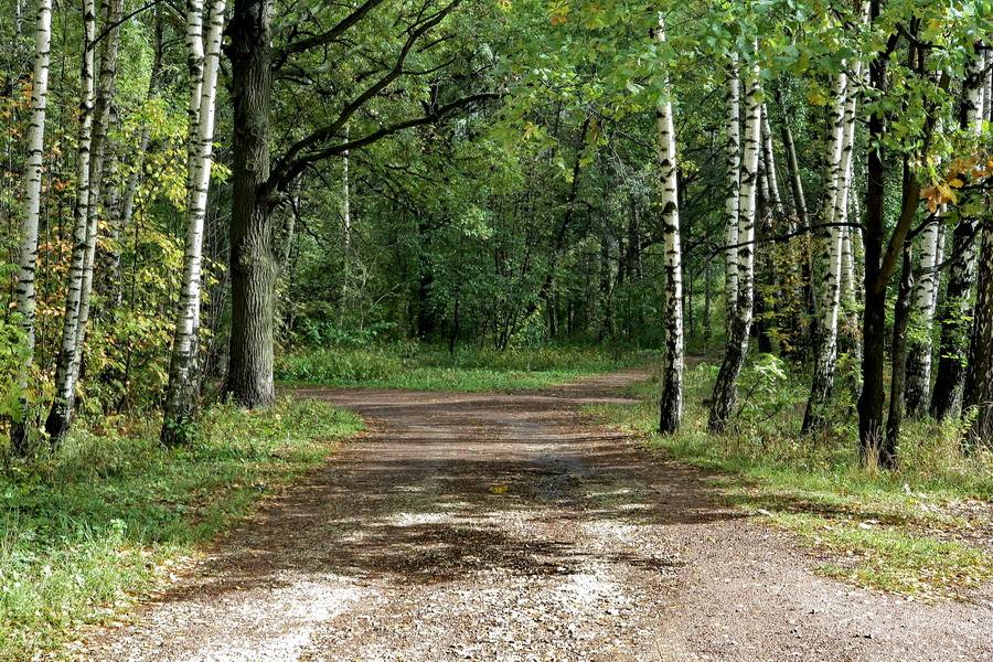 фото "Август" метки: пейзаж, лето