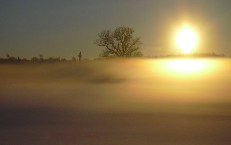 фото "... sunset fog II" метки: пейзаж, закат