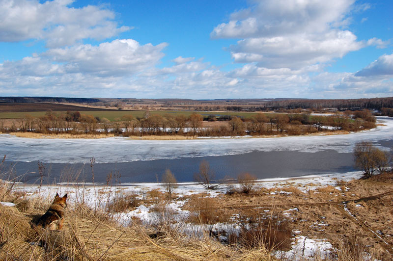 фото "Помощник фотографа" метки: пейзаж, весна, вода