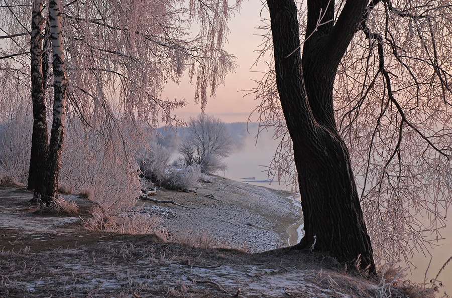 photo "***" tags: landscape, forest, sunset