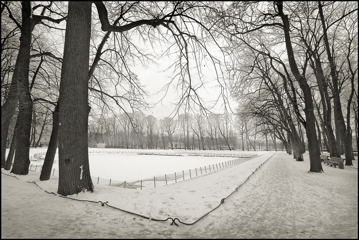 photo "***" tags: landscape, spring