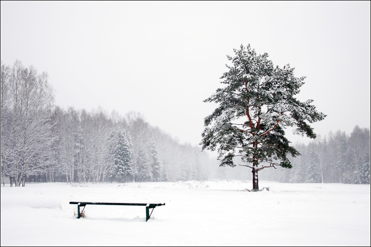 photo "Desember" tags: landscape, winter