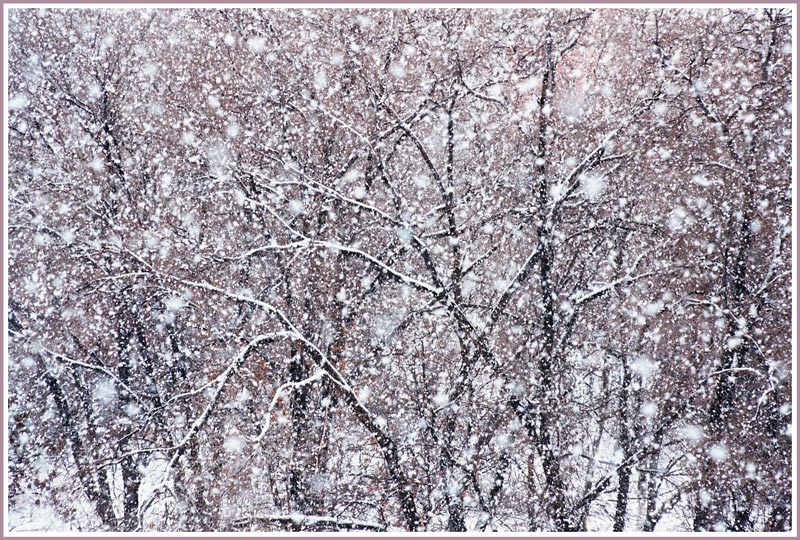 фото "Снегопад" метки: пейзаж, зима