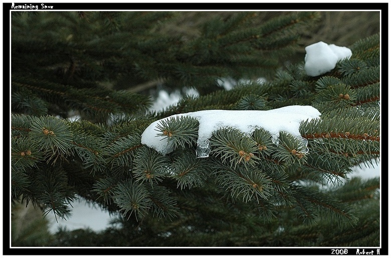 фото "Remaining Snow" метки: пейзаж, макро и крупный план, зима