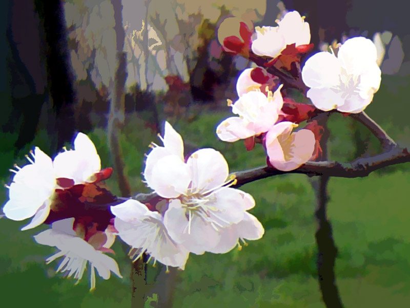photo "Spring Sings" tags: technics, 