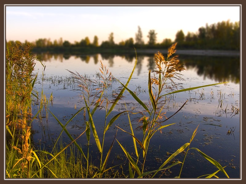 photo "***" tags: landscape, autumn