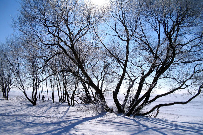 фото "Немного хрустального солнца в зените" метки: пейзаж, зима