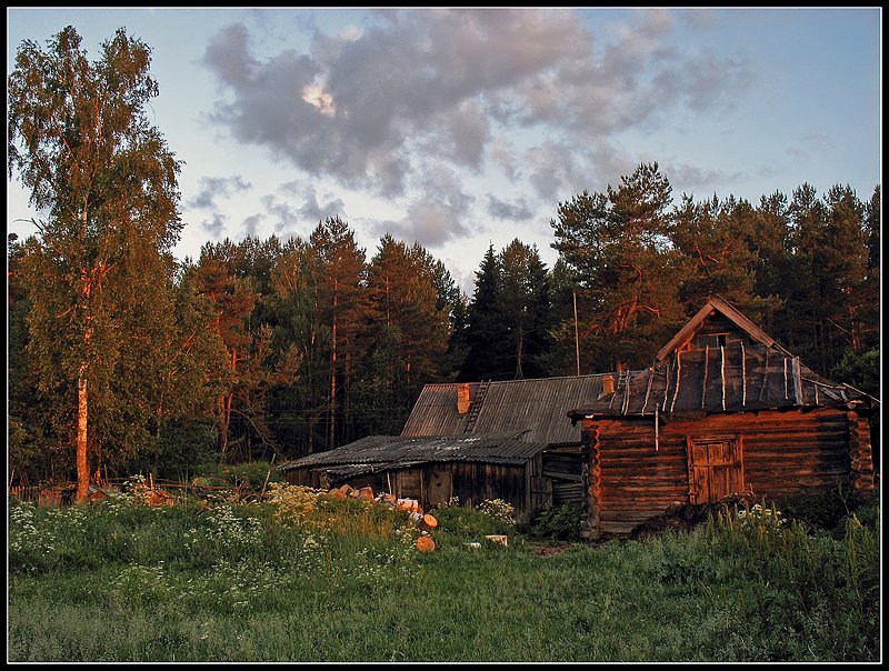 photo "***" tags: landscape, forest, summer, sunset