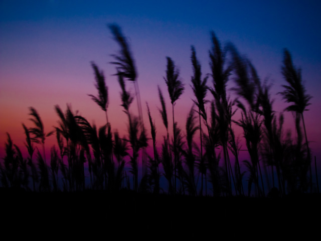 photo "My Banat" tags: landscape, summer, sunset