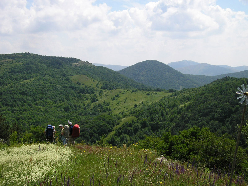 photo "***" tags: travel, landscape, summer