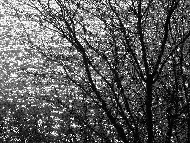 photo "Sunshine" tags: landscape, winter