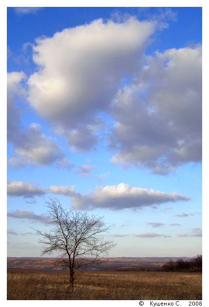 фото "Пришла весна" метки: пейзаж, облака