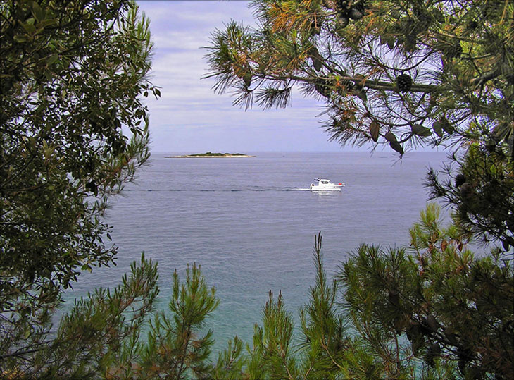 photo "Window at summer" tags: landscape, travel, Europe, water