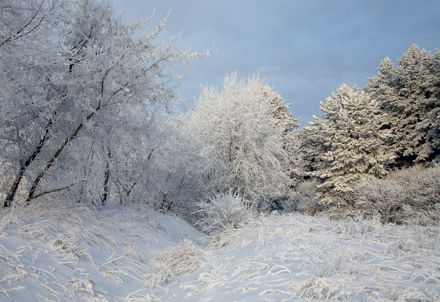 photo "***" tags: landscape, winter