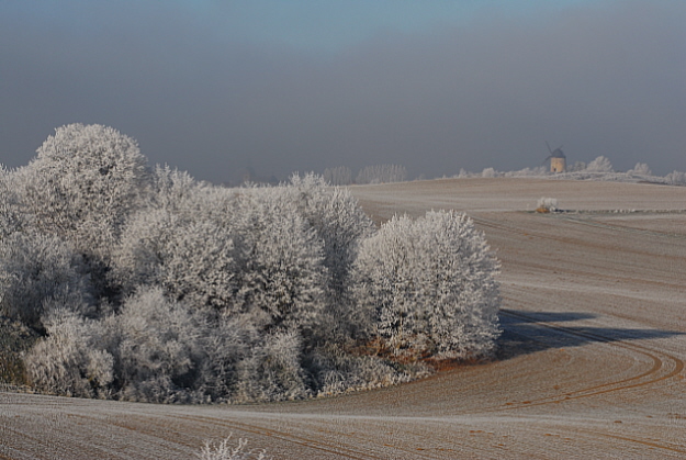 photo "Sweet home Sachsen-Anhalt" tags: landscape, winter