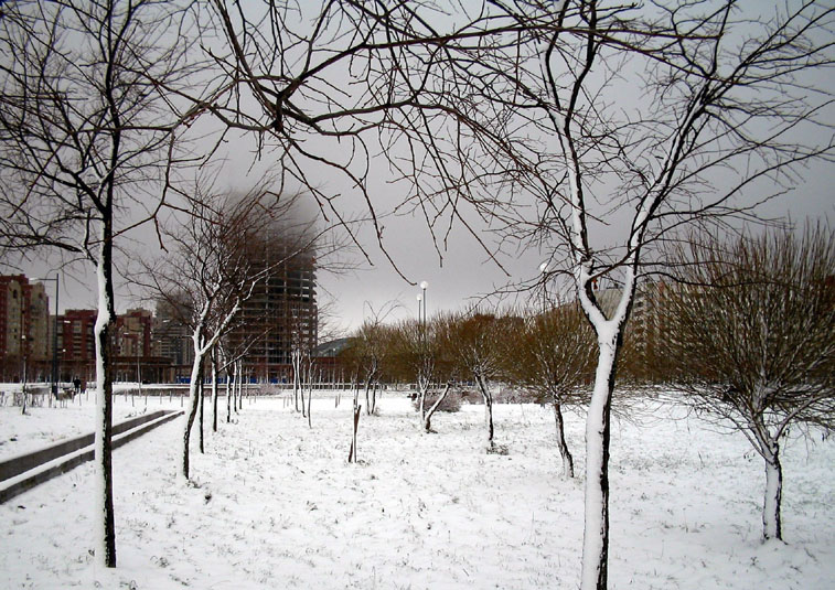 photo "The Mist" tags: landscape, winter