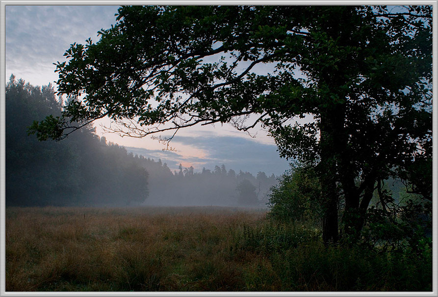 фото "За пять минут до восхода" метки: пейзаж, лето