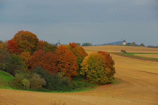 photo "Sweet home Sachsen-Anhalt" tags: landscape, autumn