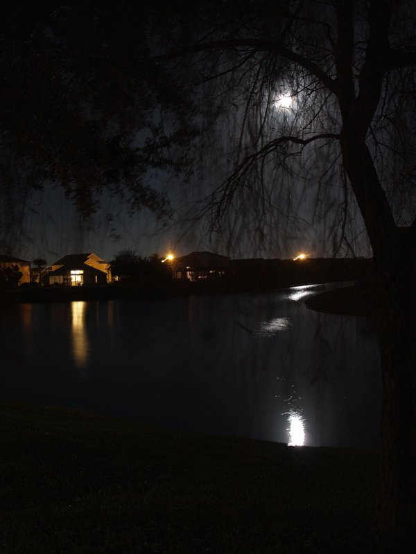 photo "A view from My Bedroom's Window" tags: landscape, night