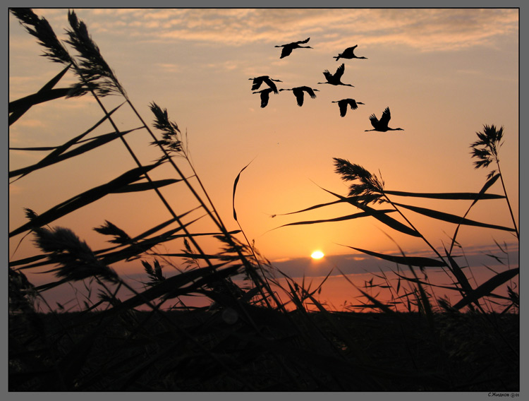 photo "***" tags: landscape, sunset