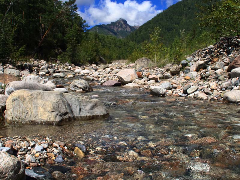 фото "Слоник и Бегемотик на водопое" метки: , 