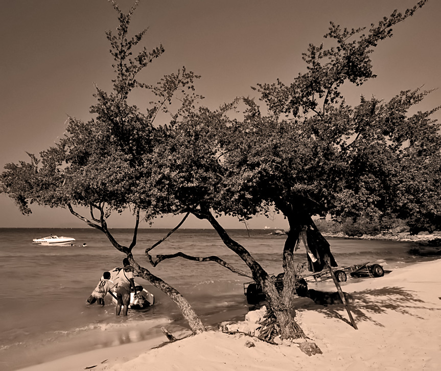 photo "10" tags: landscape, 