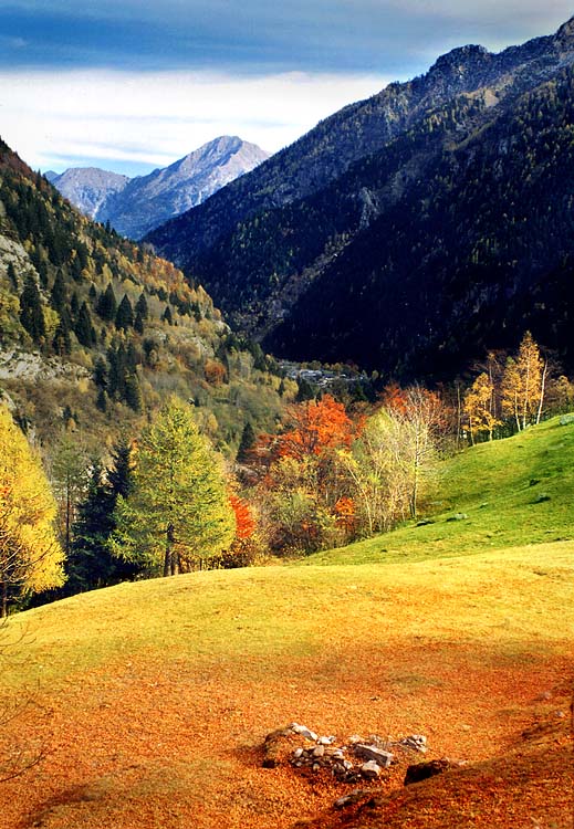 фото "Autumn" метки: пейзаж, лес