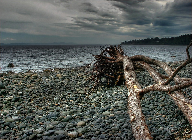 photo "After the storm" tags: landscape, autumn, water