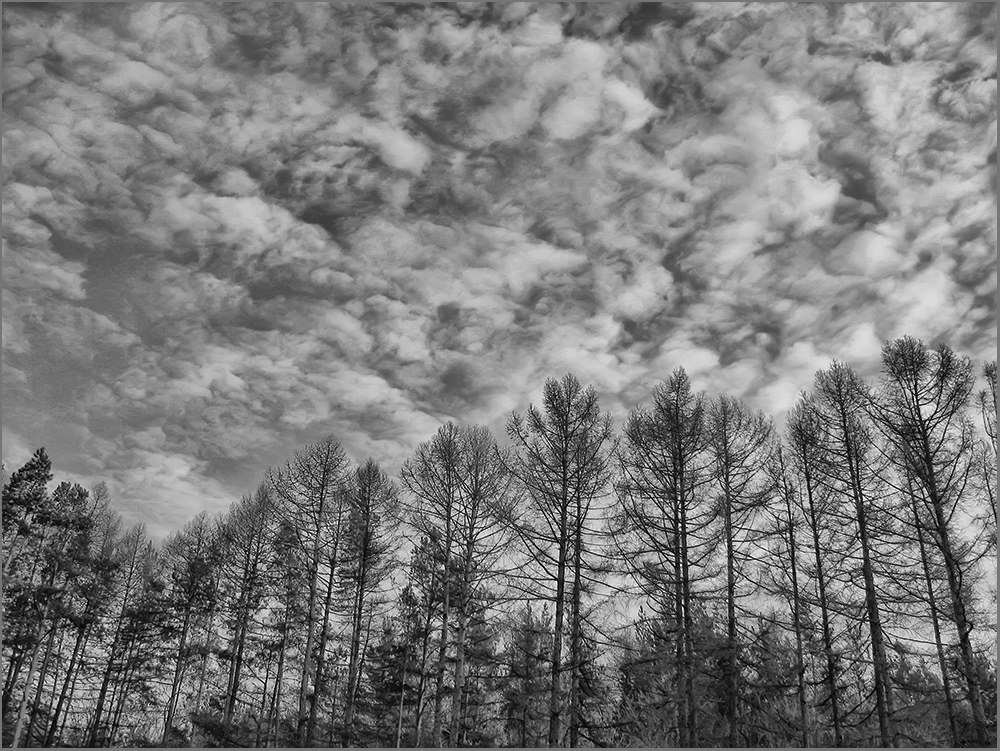 photo "***" tags: landscape, clouds