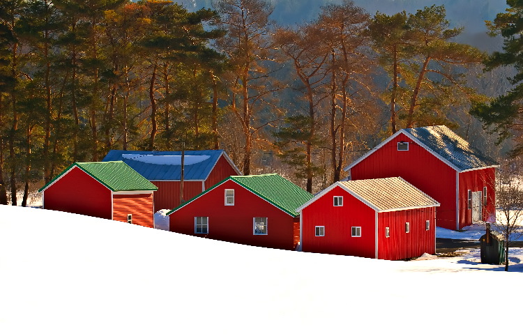 фото "Little Red Barns" метки: пейзаж, зима