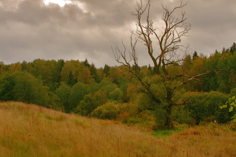 photo "***" tags: landscape, autumn