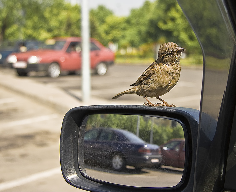 photo "What are You talking about" tags: nature, city, 