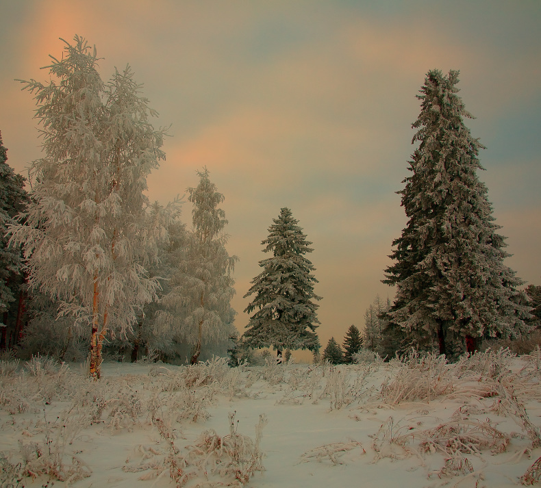 photo "***" tags: landscape, winter