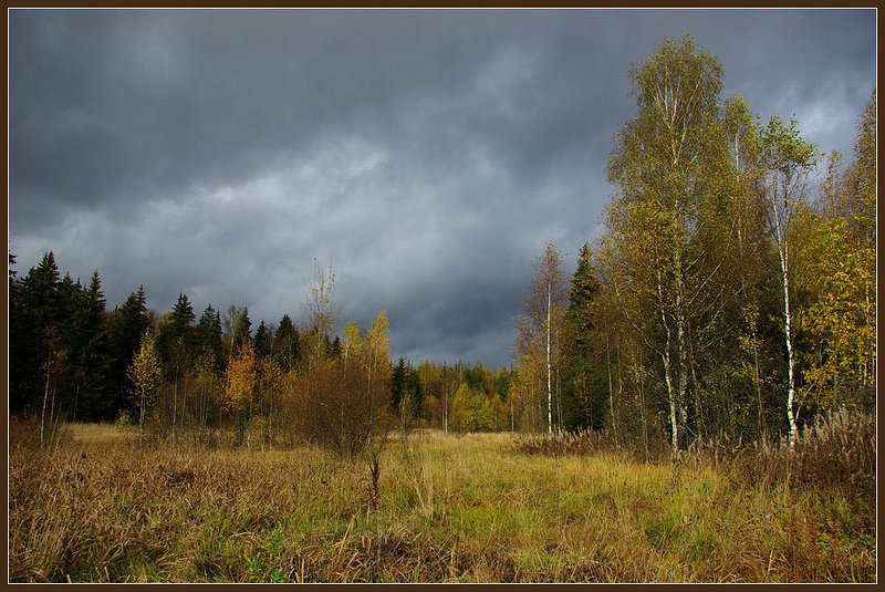 фото "...вспоминая осень" метки: пейзаж, лес, осень
