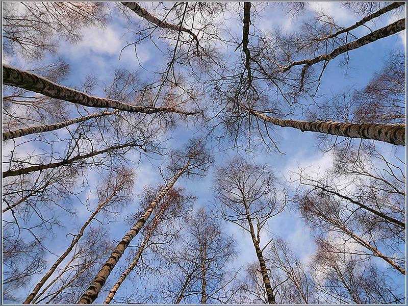 фото "Головокружение" метки: пейзаж, зима