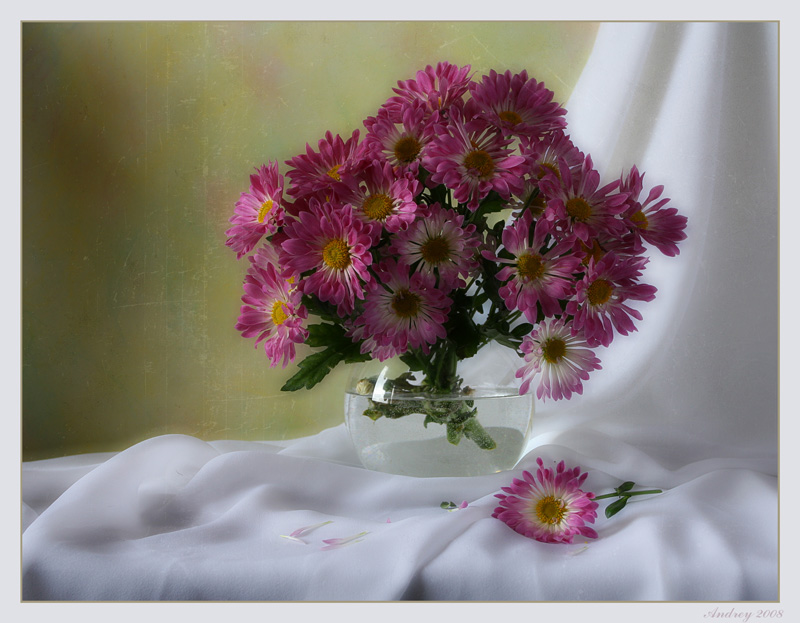 photo "Just bouquet" tags: still life, 