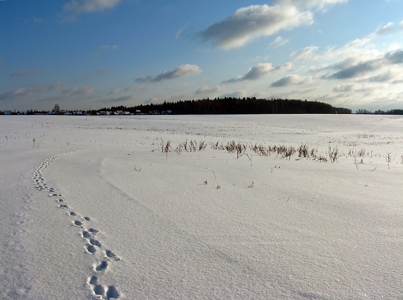 photo "***" tags: landscape, winter