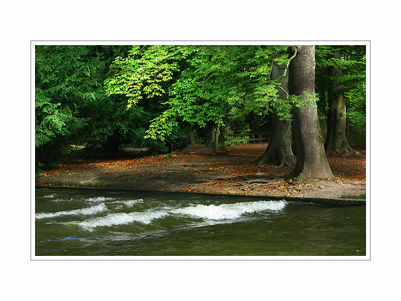 photo "English Park" tags: landscape, forest, water