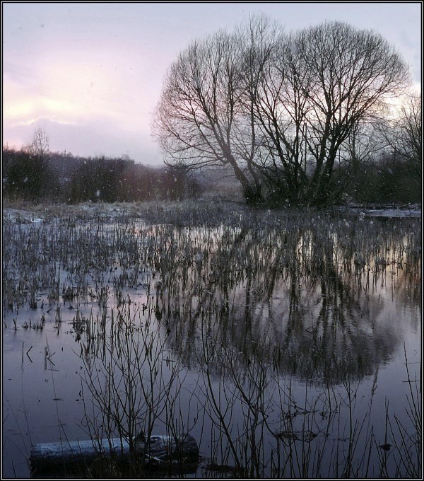 photo "Spring sadness" tags: landscape, spring