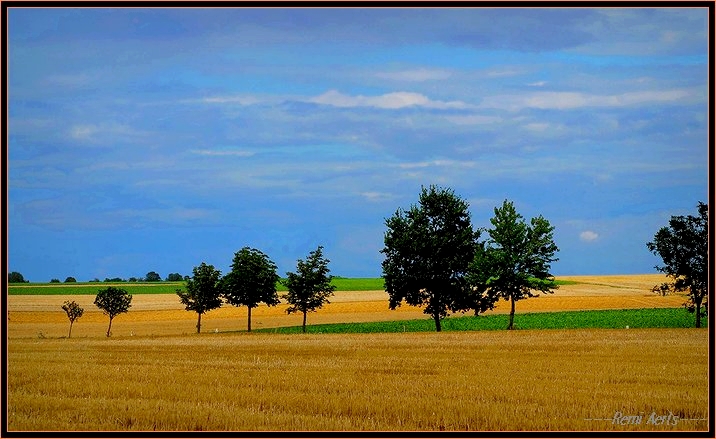 photo "yellow and bleu" tags: landscape, summer