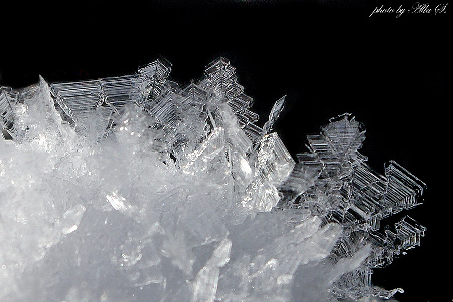 фото "Снежные кристаллы" метки: макро и крупный план, 