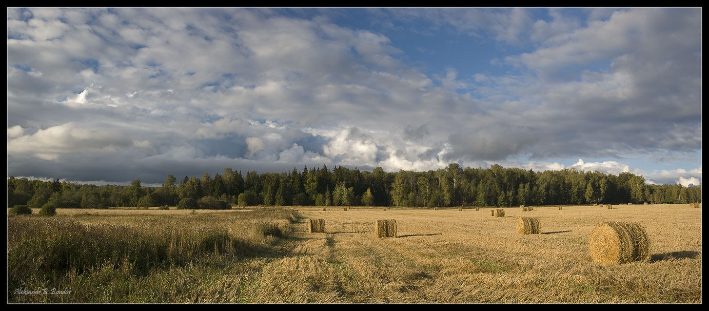 фото "Поле с роллами" метки: пейзаж, лето