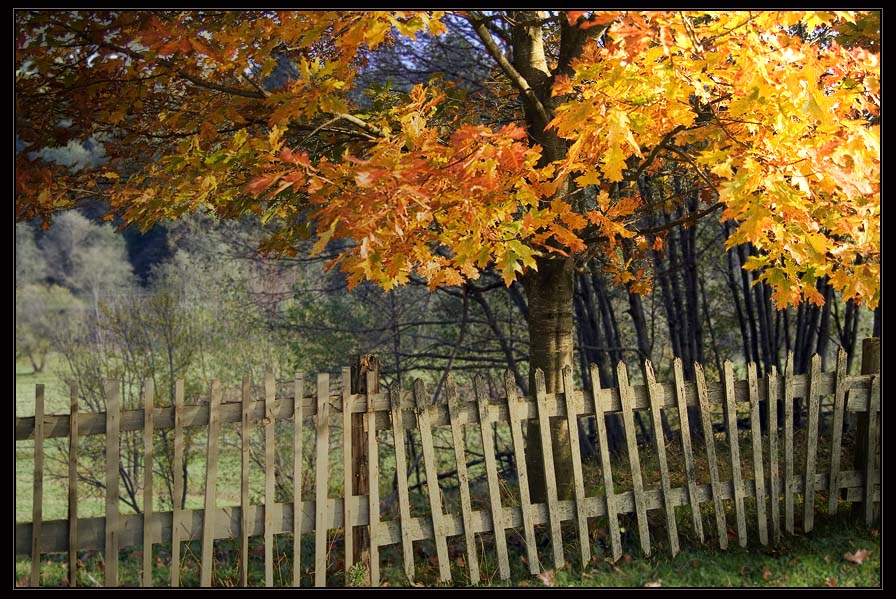photo "autumn village" tags: landscape, genre, autumn