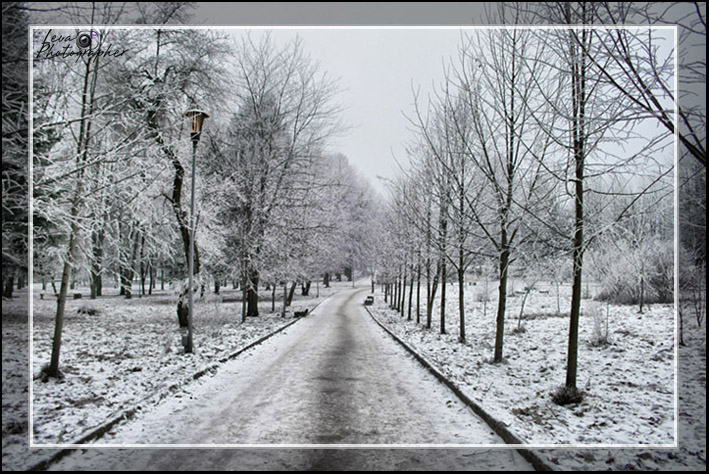 фото "прогулка по парку" метки: пейзаж, зима