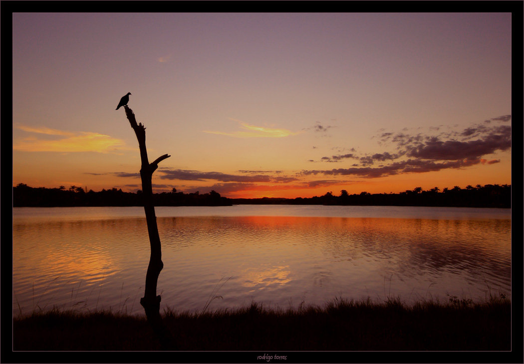 фото "lonely" метки: , 