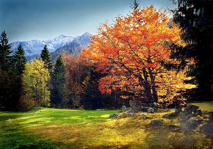 photo "Red autumn saturation" tags: landscape, mountains