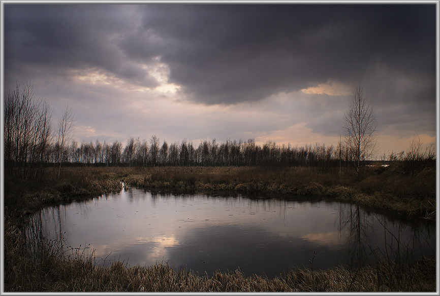 photo "The first thunderstorm" tags: landscape, spring